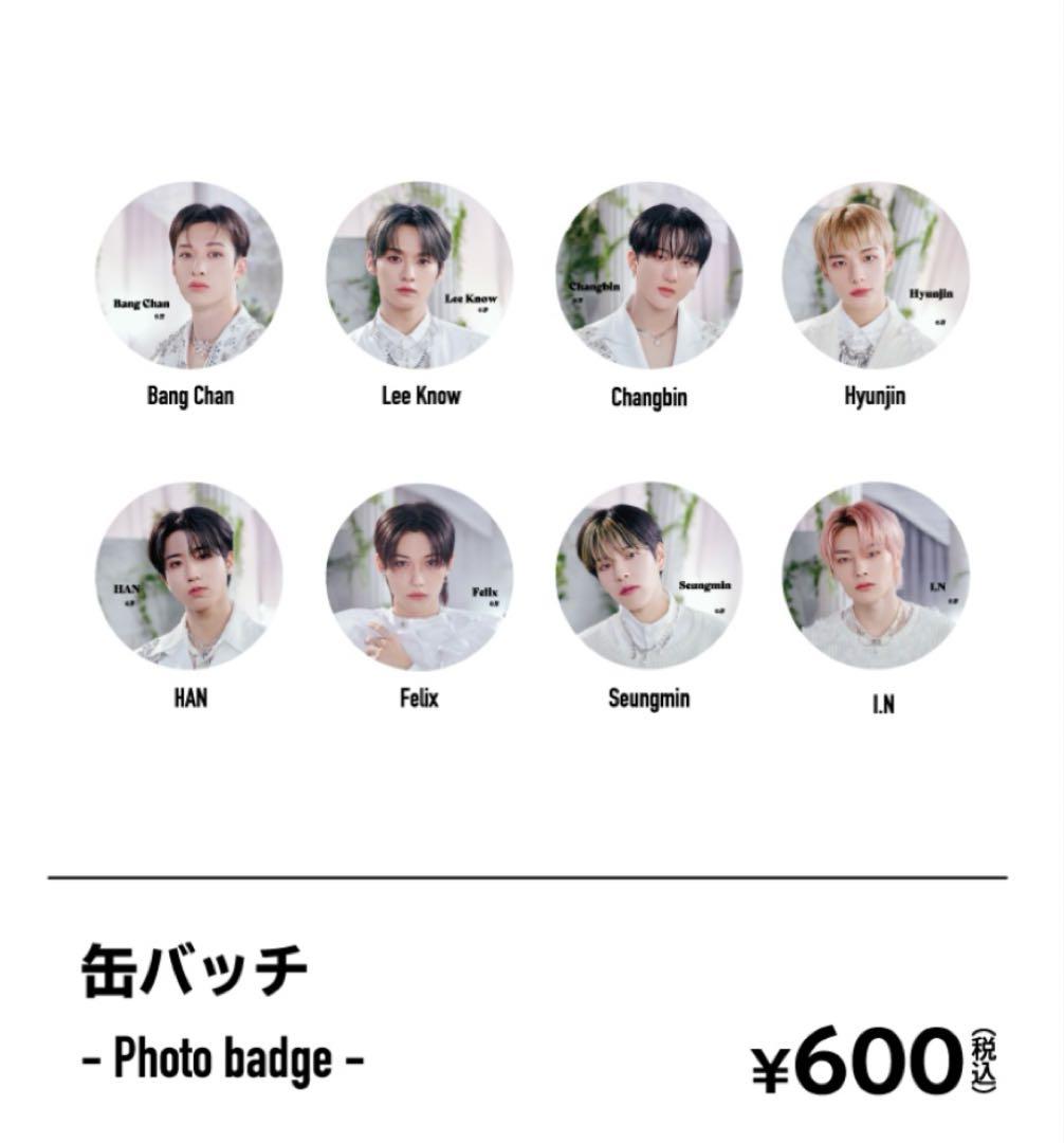 13点 スキズ Felix ピリ ポガリ グッズ 公式 ペンライト うちわ