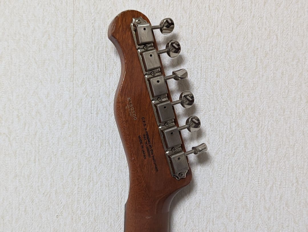 FGN フジゲン テレキャスター