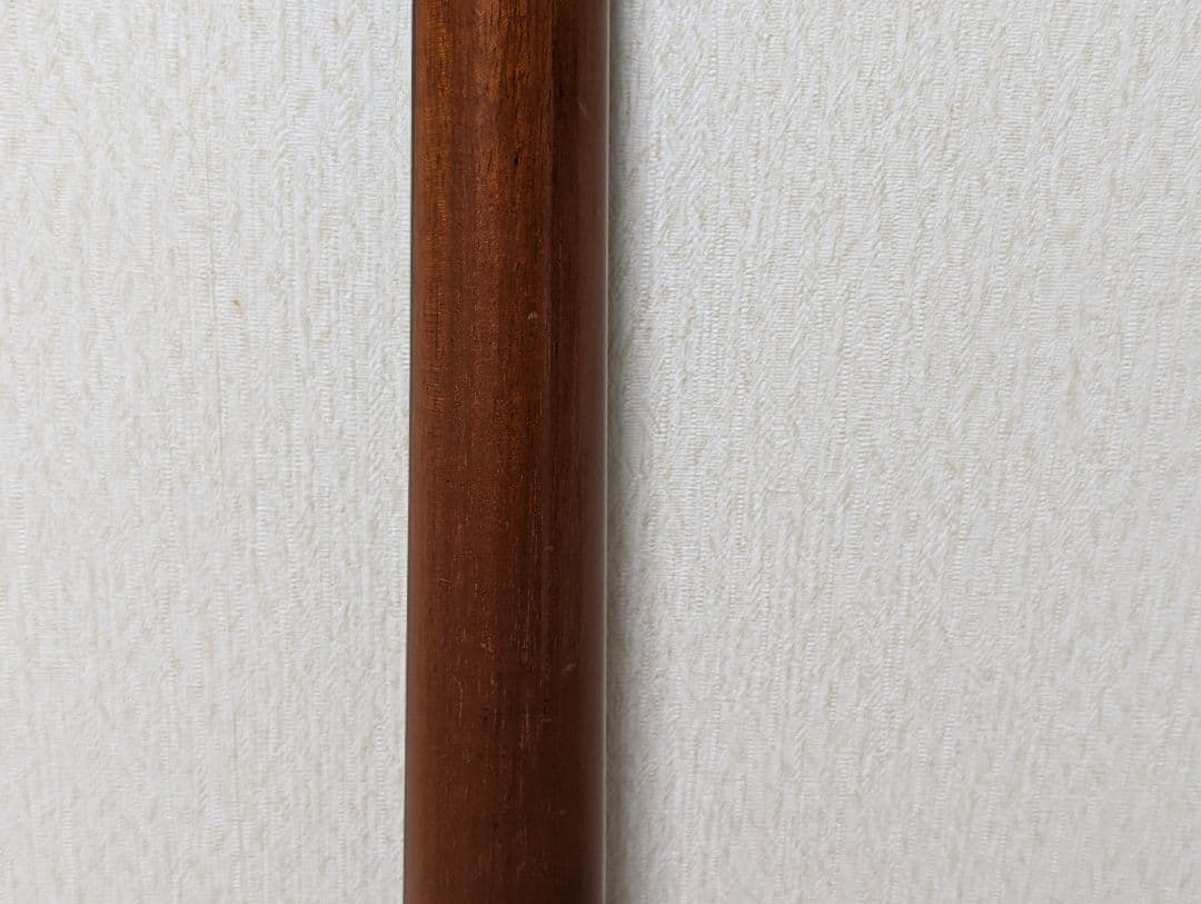 FGN フジゲン テレキャスター