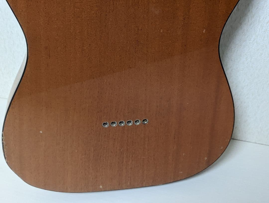 FGN フジゲン テレキャスター