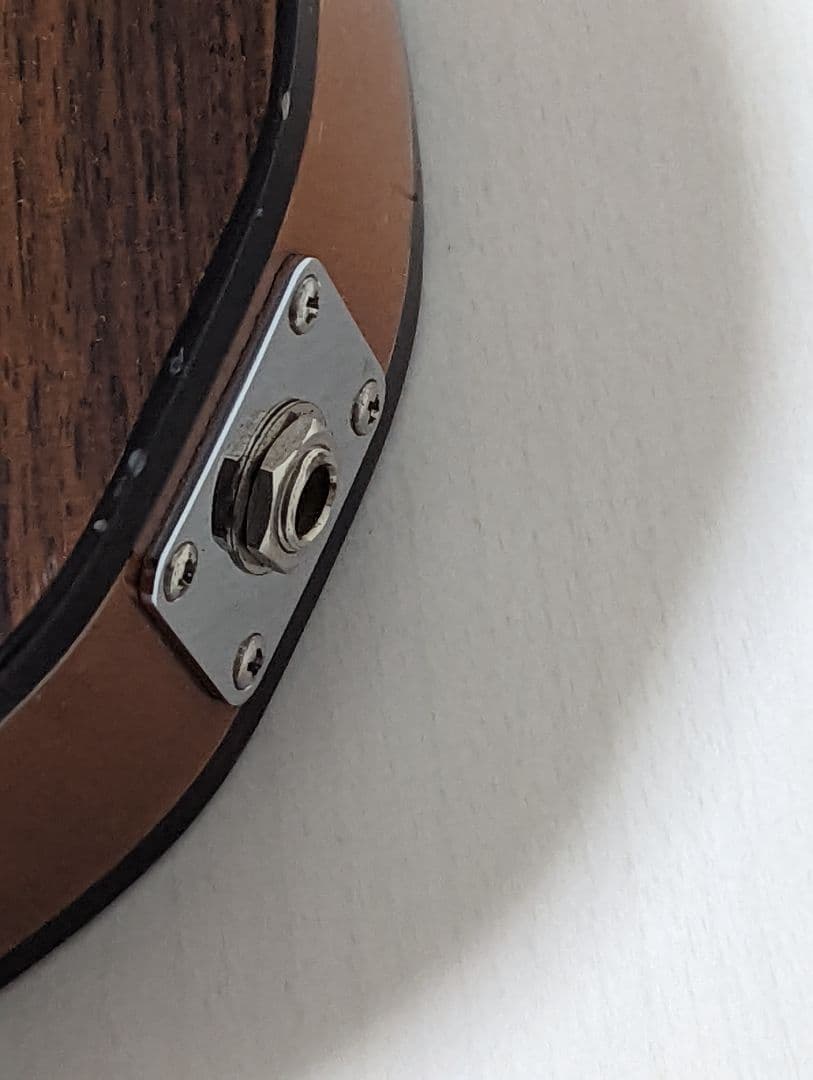 FGN フジゲン テレキャスター