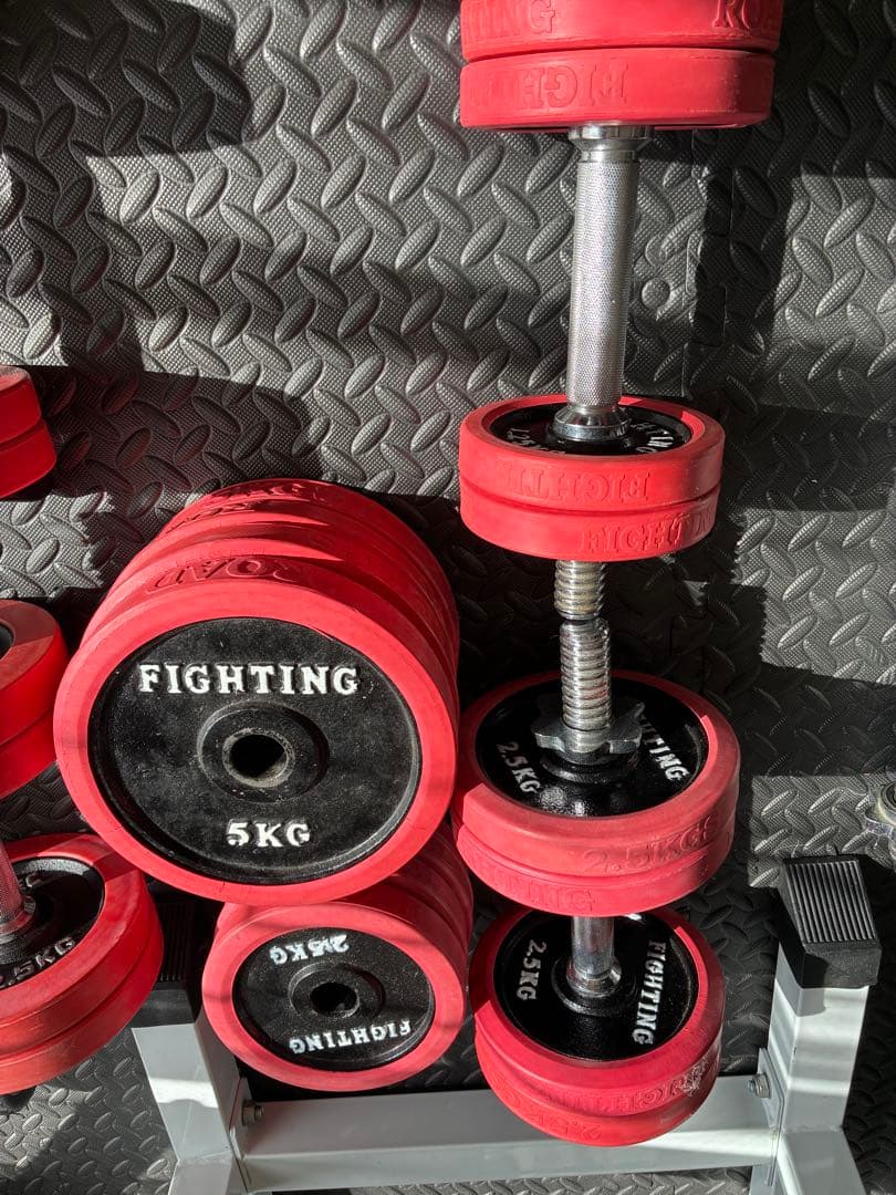 IROTEC アイロテック他プレート130kg ホームジムセット　引き取りのみ