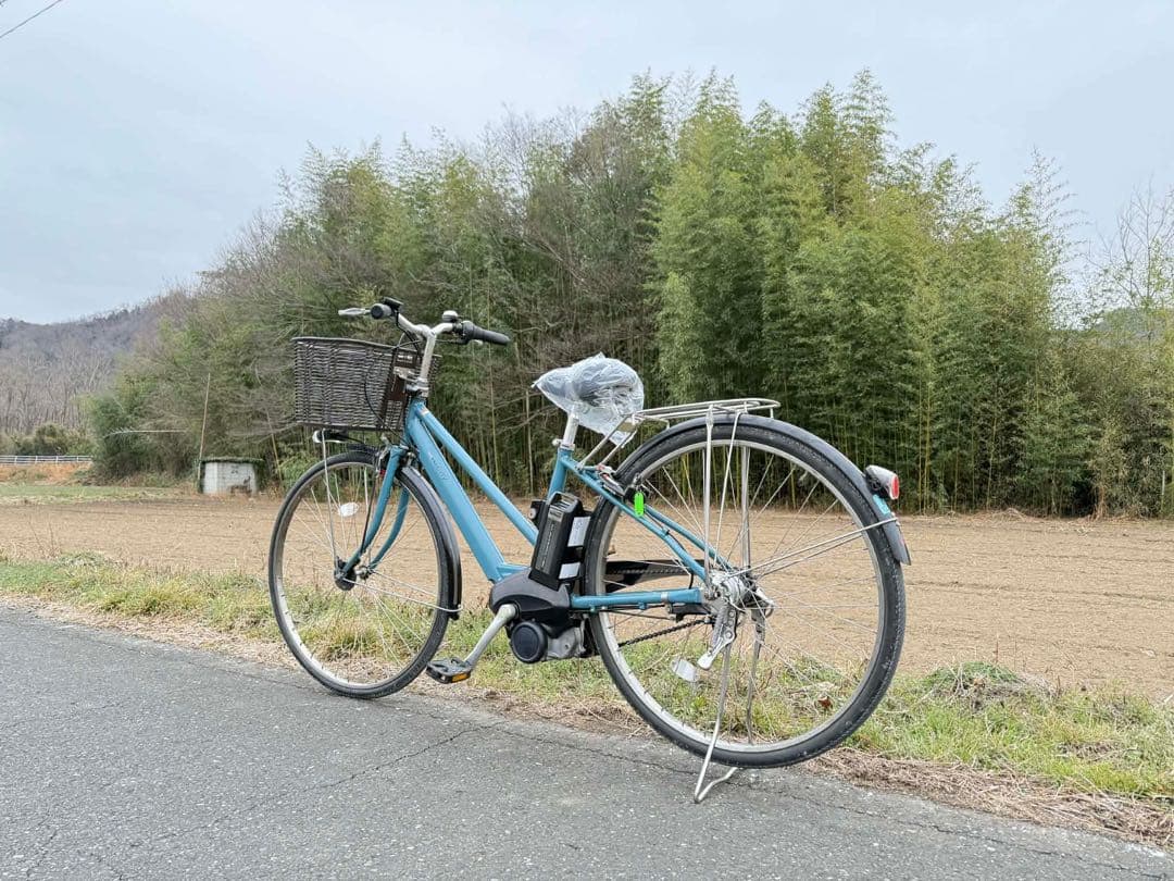 青色 シティタイプ 電動アシスト自転車