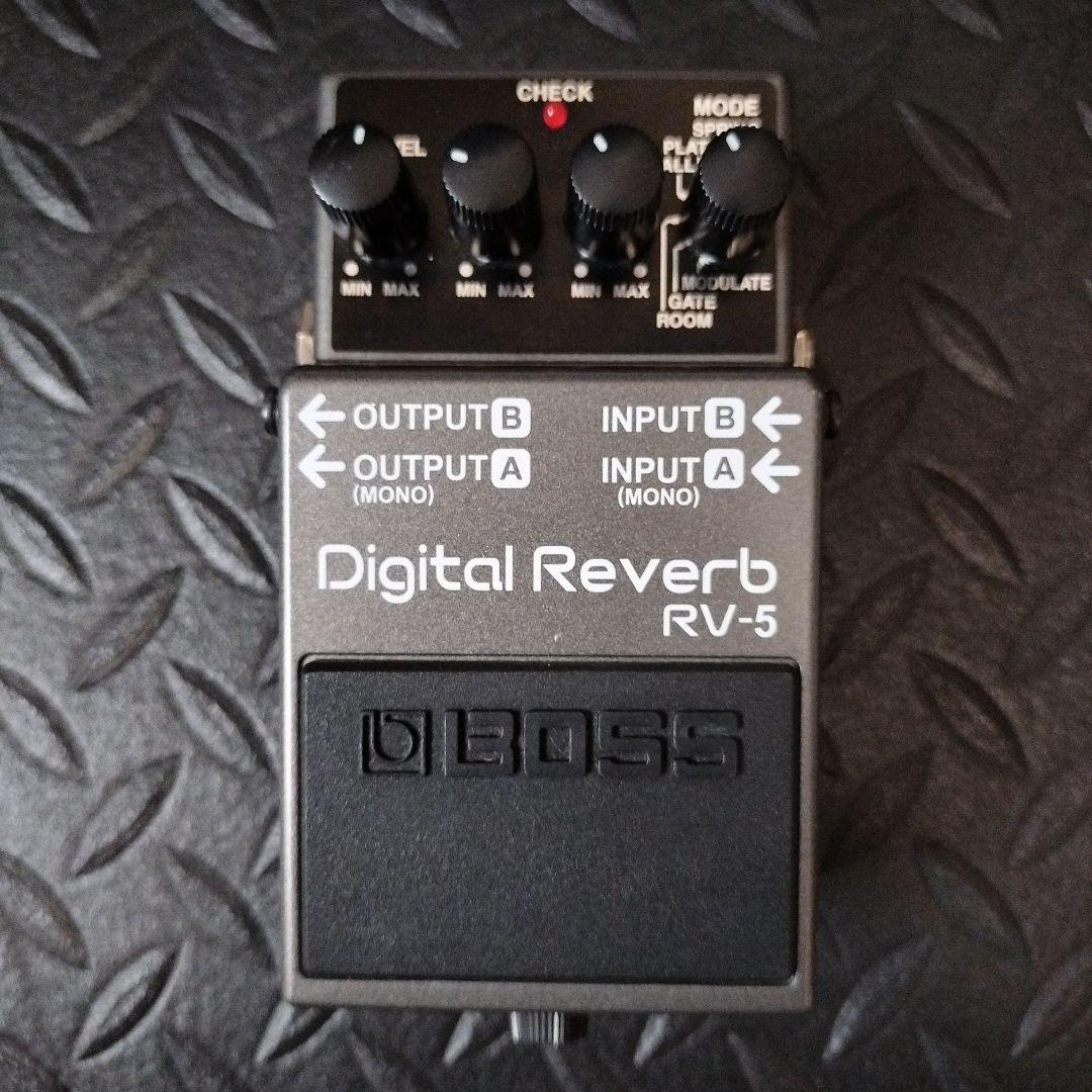 BOSS デジタルリバーブ RV-5 ROWIN LEF-312 フランジャー