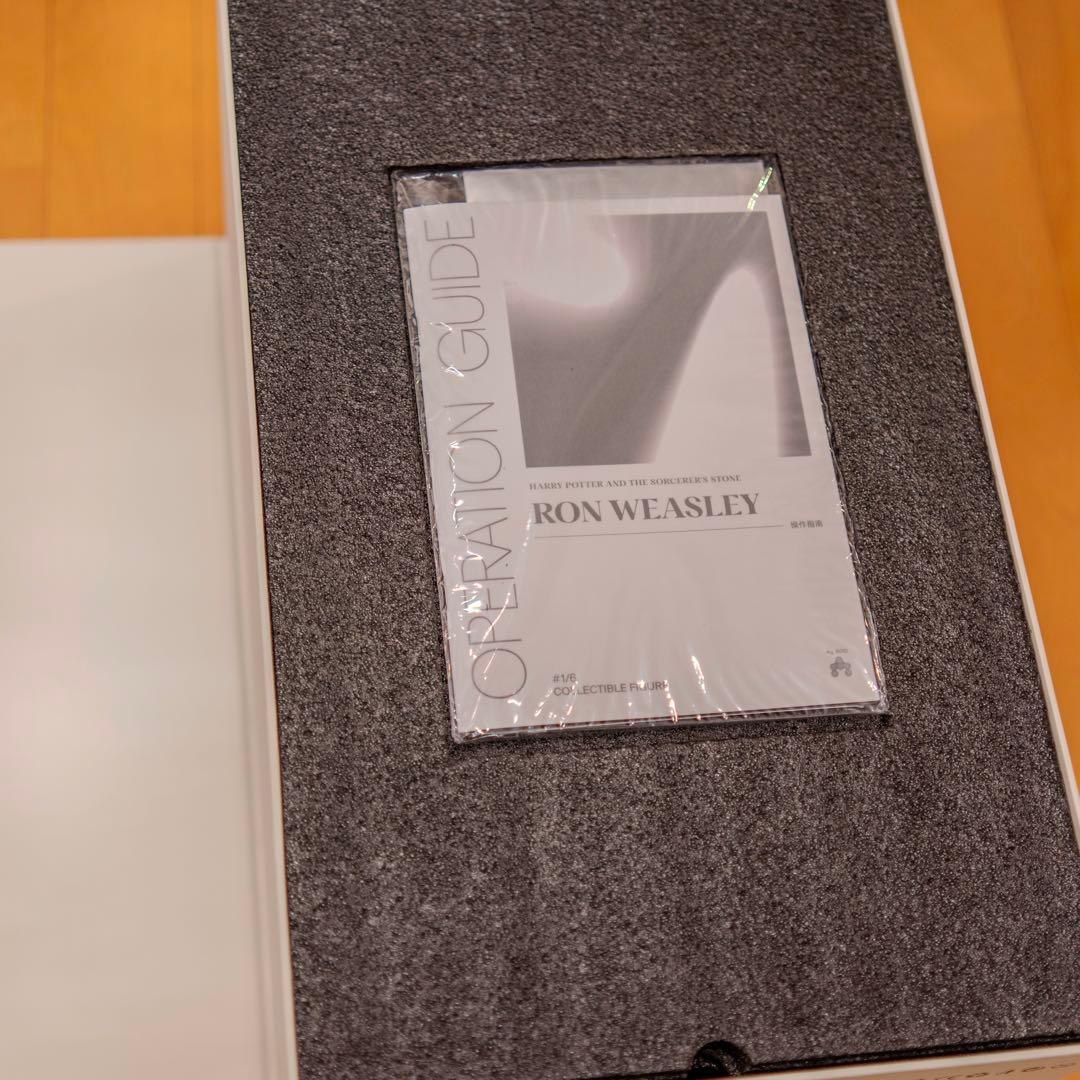 INART 1/6 ハリー・ポッターと賢者の石 ロン・ウィーズリー DX 植毛