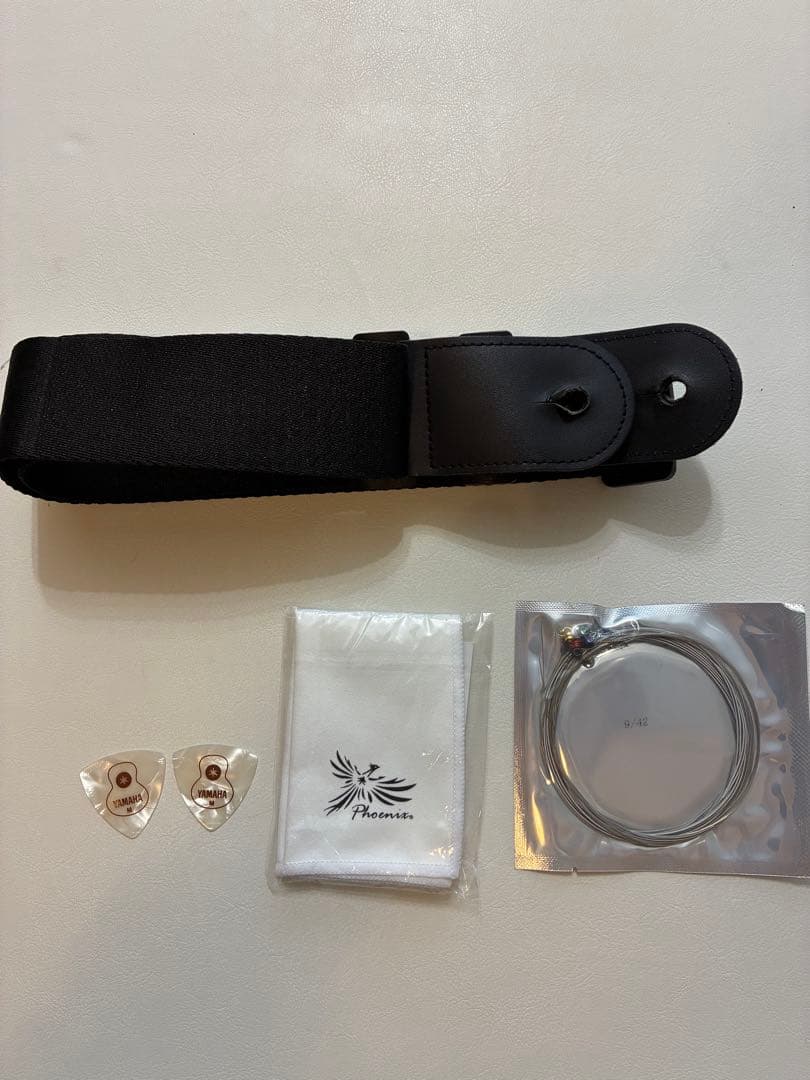 maestro by Gibson レスポール　初心者セット