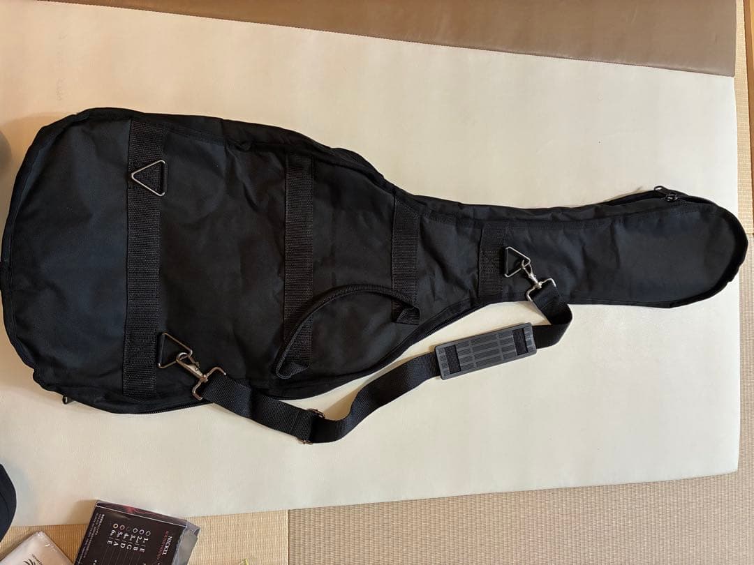 maestro by Gibson レスポール　初心者セット