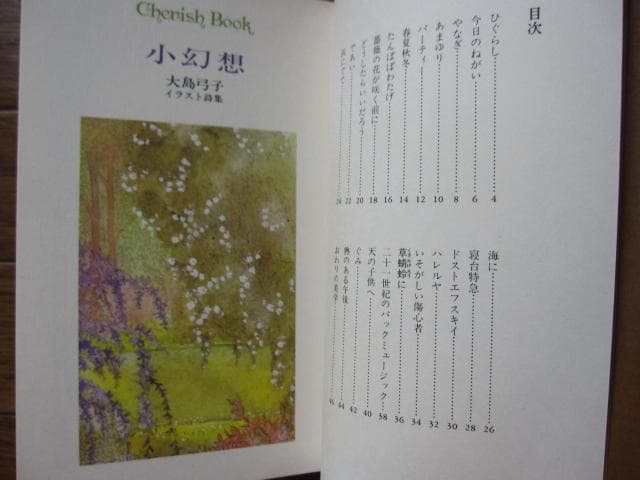 小幻想　大島弓子イラスト詩集　大島弓子