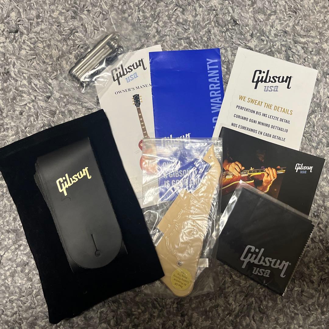 ギター Gibson Les Paul Classic Plus PremiumTop?