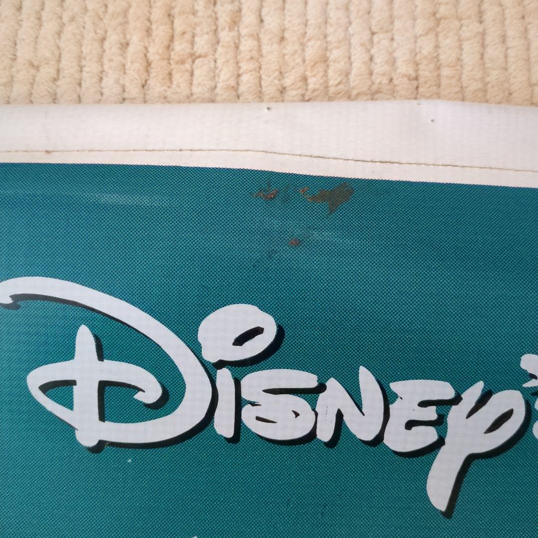 ディズニー ポカホンタス ポスター　タペストリー　壁掛け