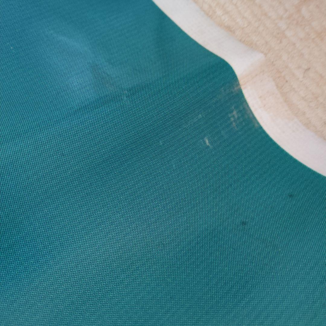 ディズニー ポカホンタス ポスター　タペストリー　壁掛け