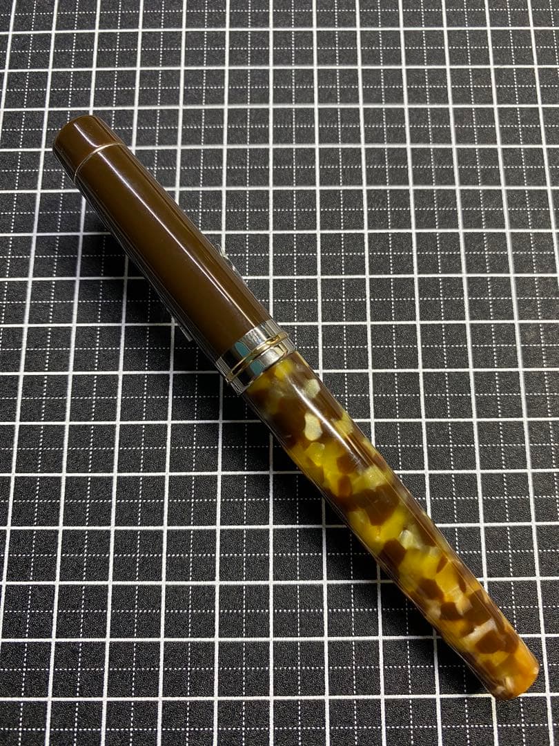 DELTA Vintage Collection Anima 万年筆　字幅F