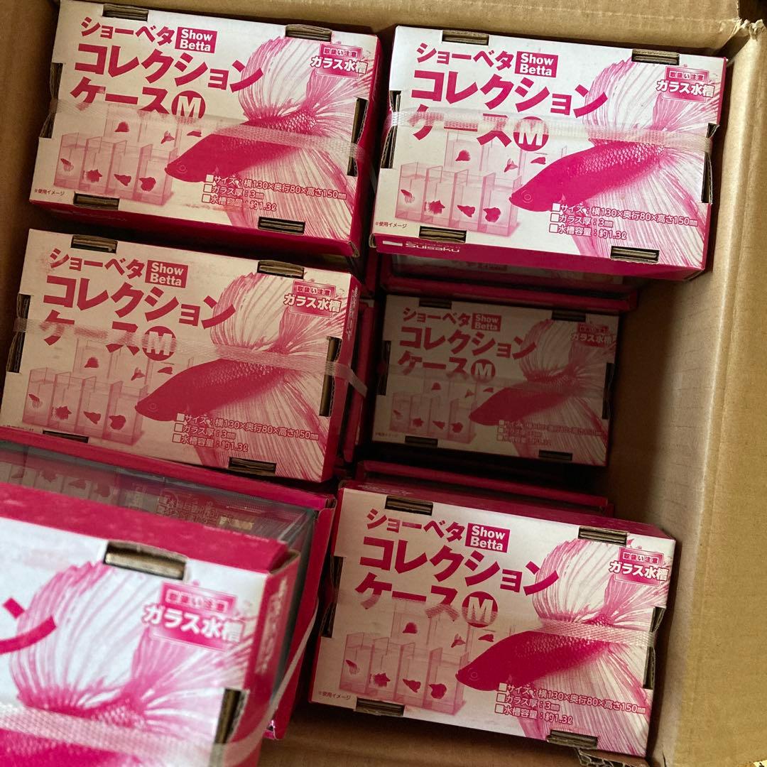 Suisaku ショーベタ コレクションケース M 12個