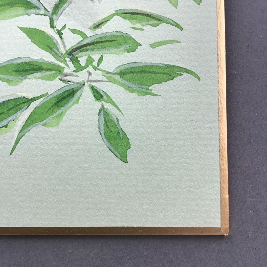 色紙　「梅の香りをそでにうつして…」昭雲作 畳紙　配送用袋　S1029SS