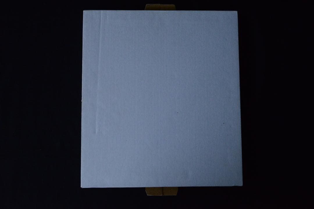 The Man in the Crowd:Garry Winogrand★値下げ