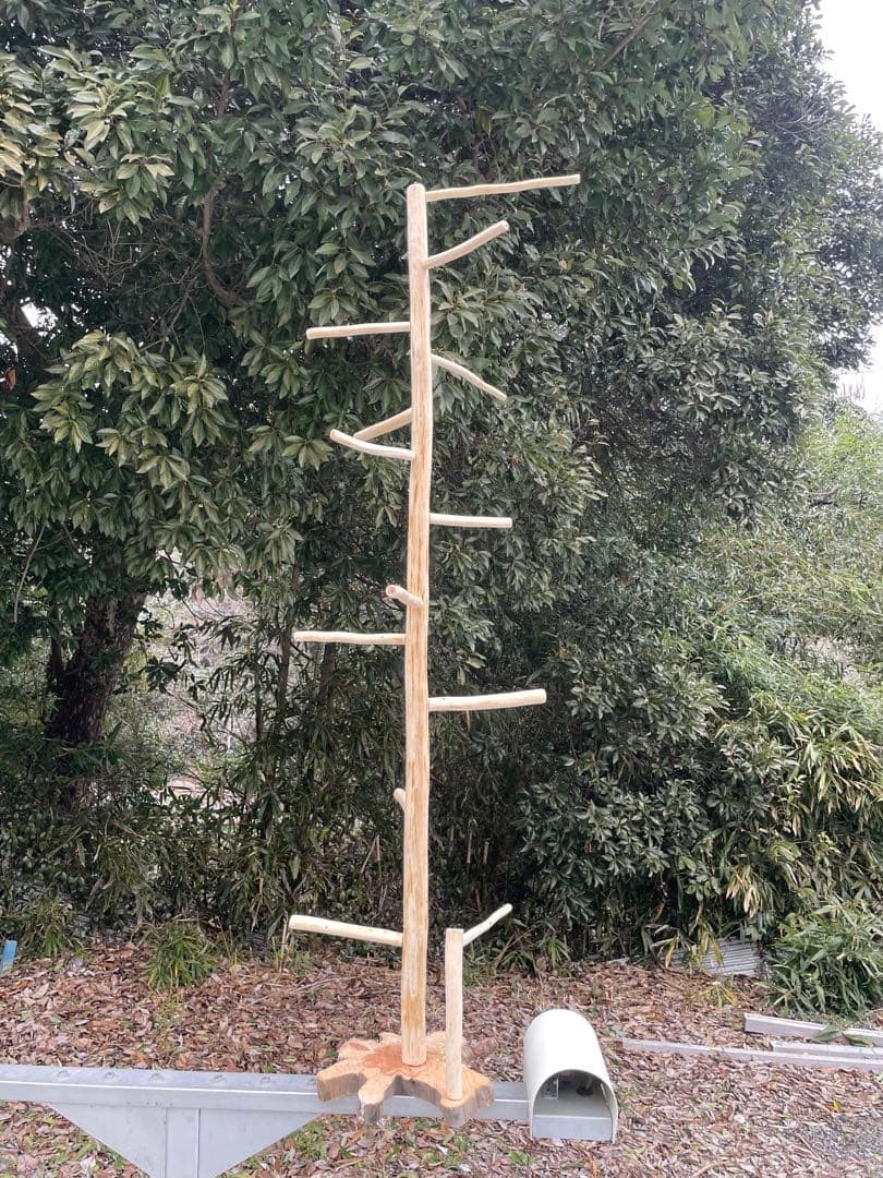 【訳あり】国産ヒノキ　鳥用止まり木　大型スタンド　約147センチ　中型インコ用