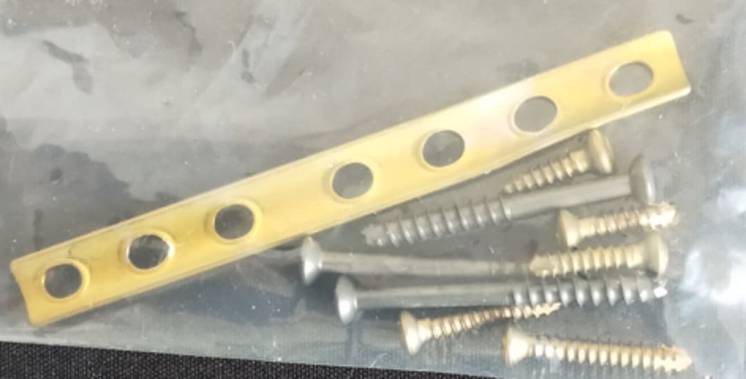 コレクション用　体内プレート、スクリュー