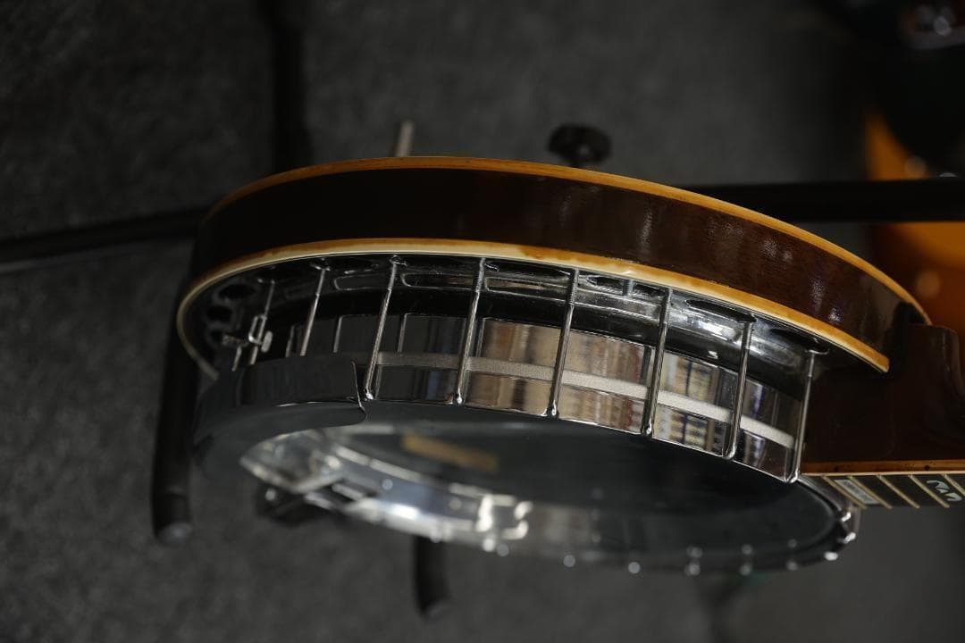 【8988】 Tokai Goldstar？バンジョー humming bird