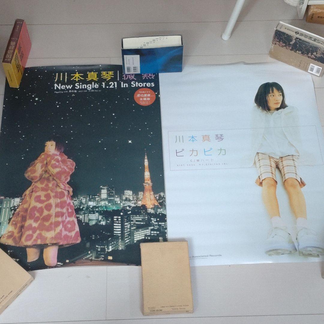 川本真琴　ポスター　１３枚セット