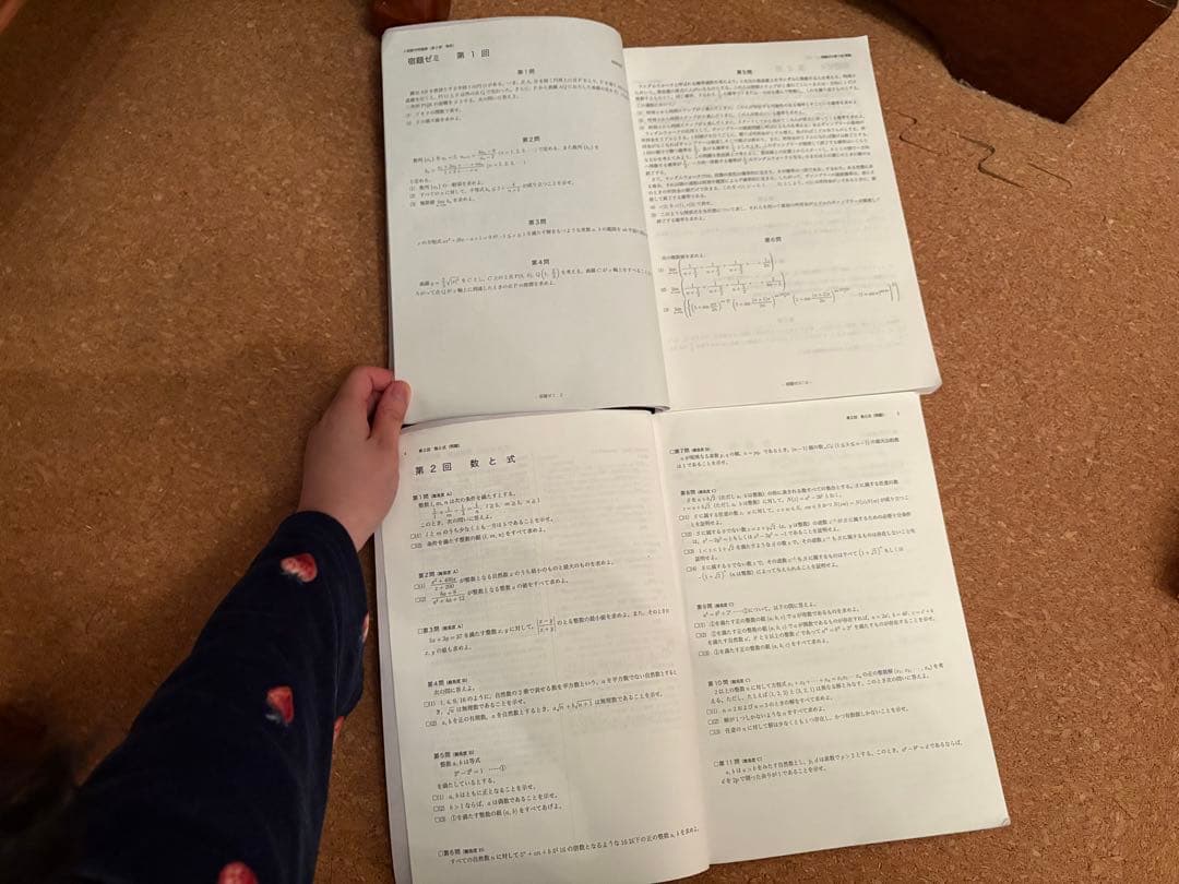 2024鉄緑会数学一式（本当に全部あります）
