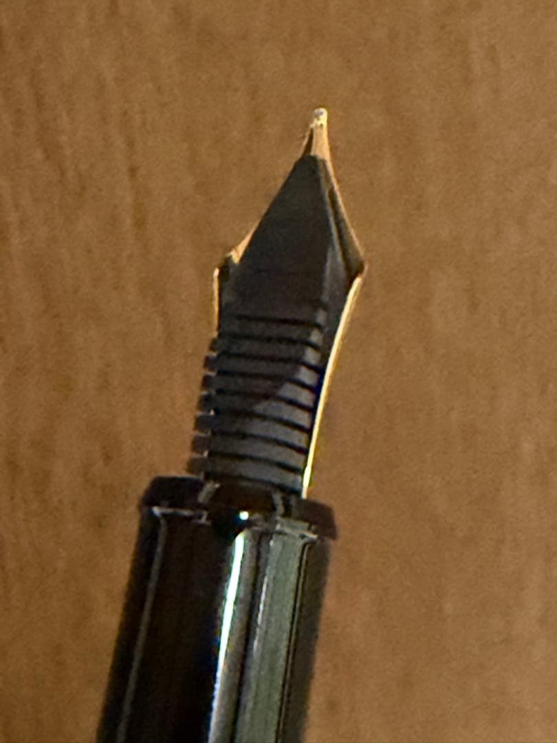 PLATINUM 万年筆 14K ペン先 B 風神雷神 金沢箔 万年筆