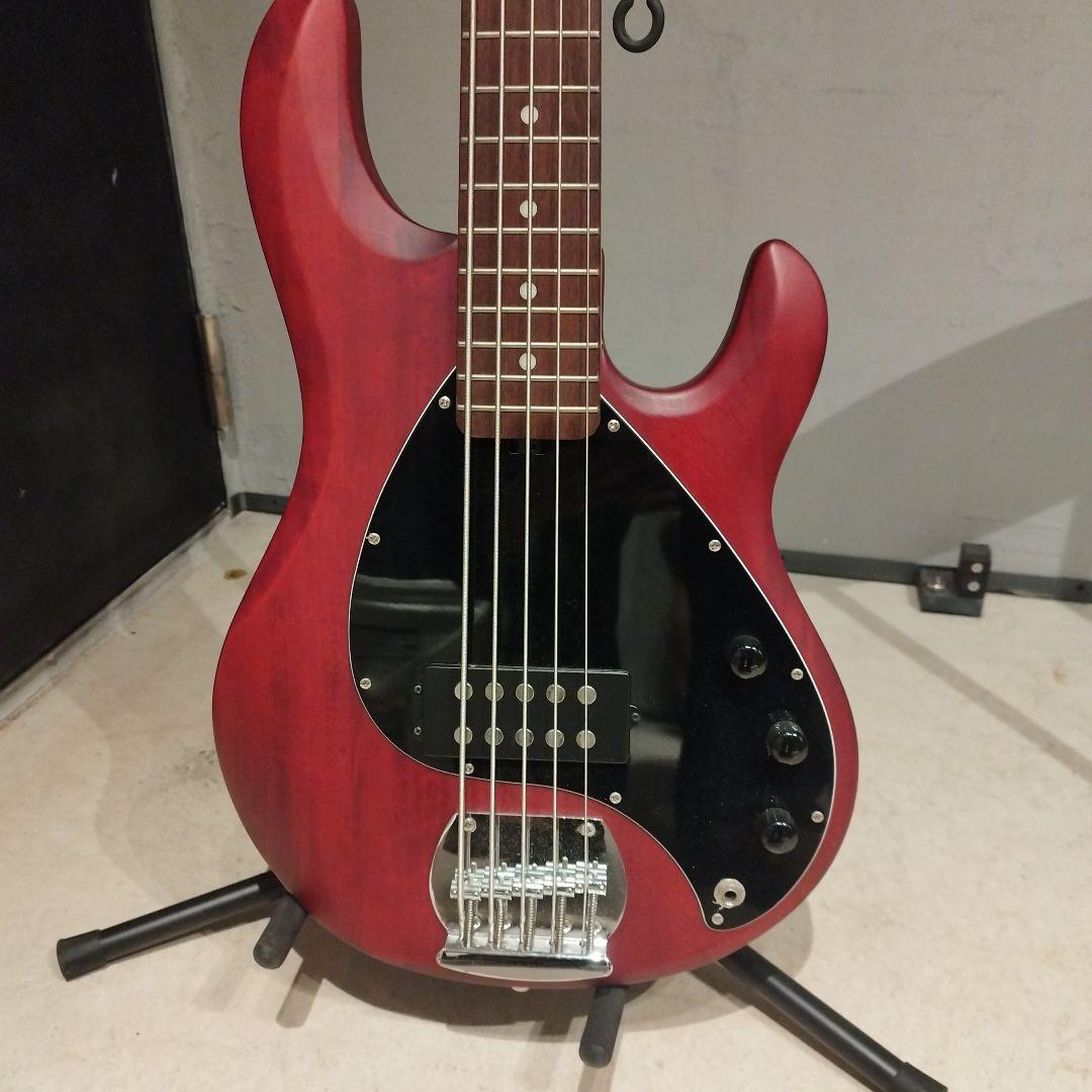ベース Sterling by MUSIC MAN StingRay5 walnut