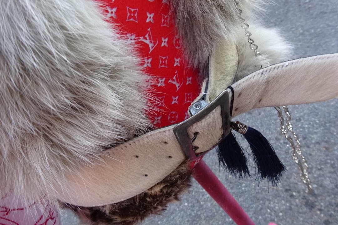 マネキン トルソー カスタム イルミ インテリア お店 サインボード的な感じ