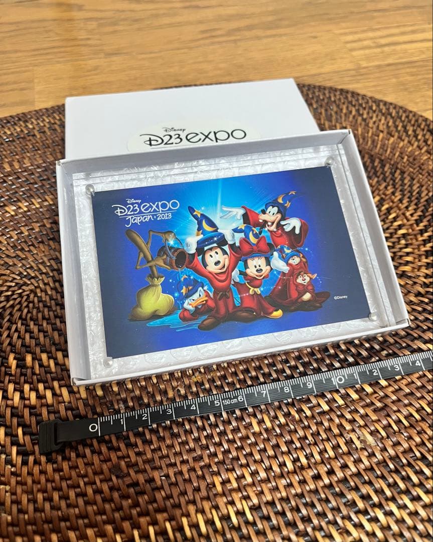 ディズニー D23 Expo Japan ファインアート 非売品