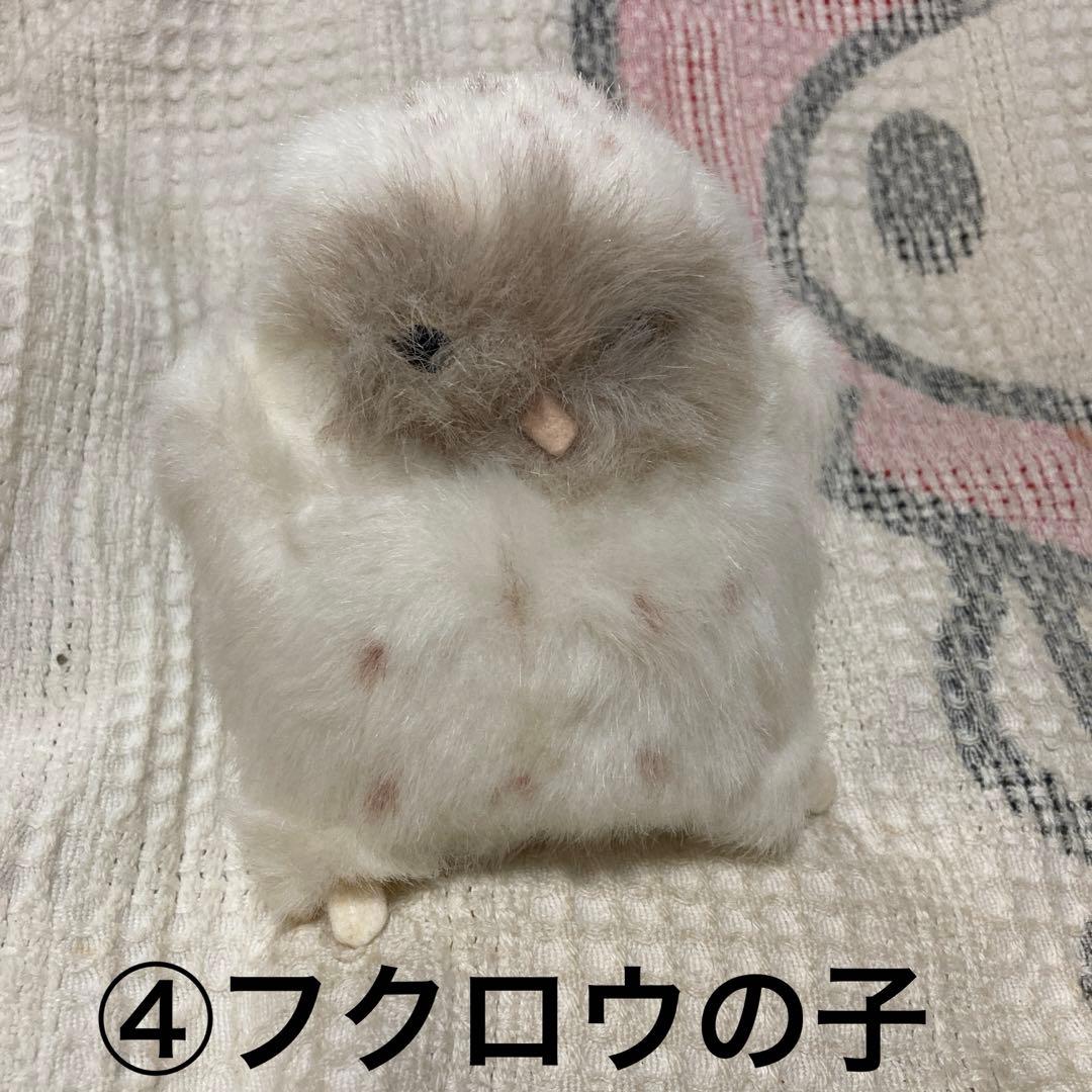やまね工房　ぬいぐるみ　落合けいこ　6こセット　中古品　コノハズク他　おまけ付き