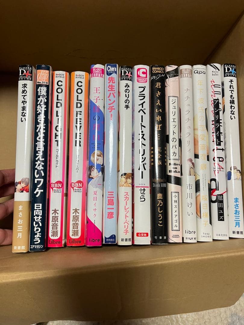 漫画　小説　追加　BL ボーイズラブ　2冊セットからおまとめ購入OK