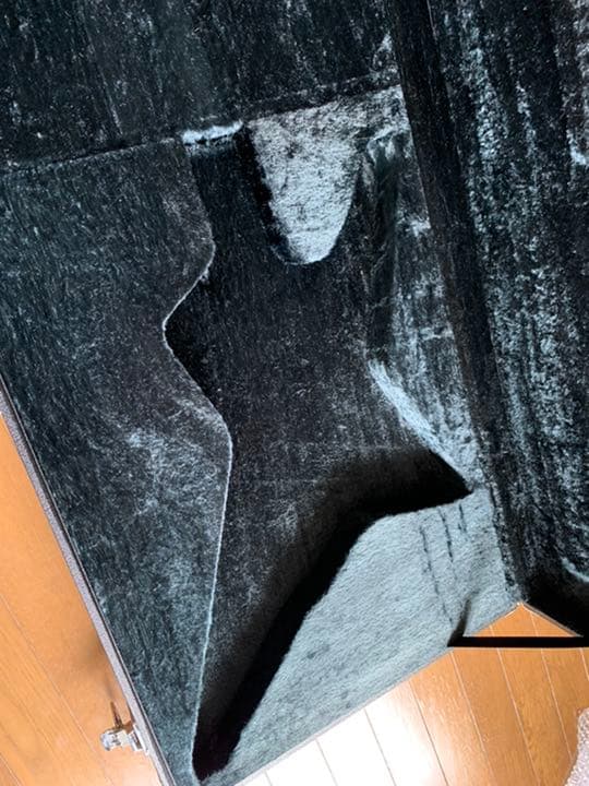 ESP STARの専用ハードケース