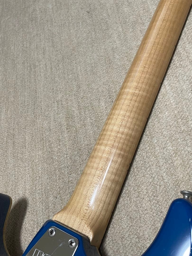 ESP snapper CTM プロ仕様