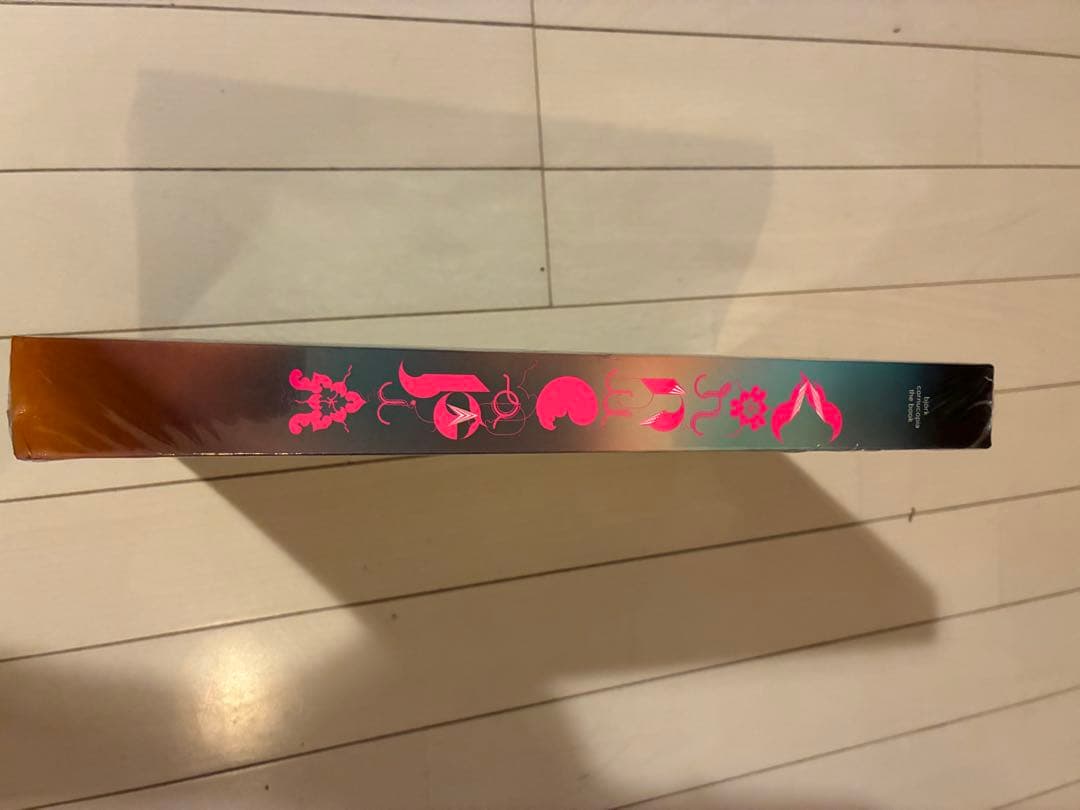 ビョーク　コーニュコピア：ザ・ブック