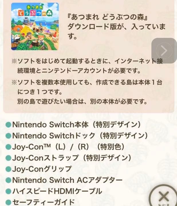 Nintendo Switch 同梱版