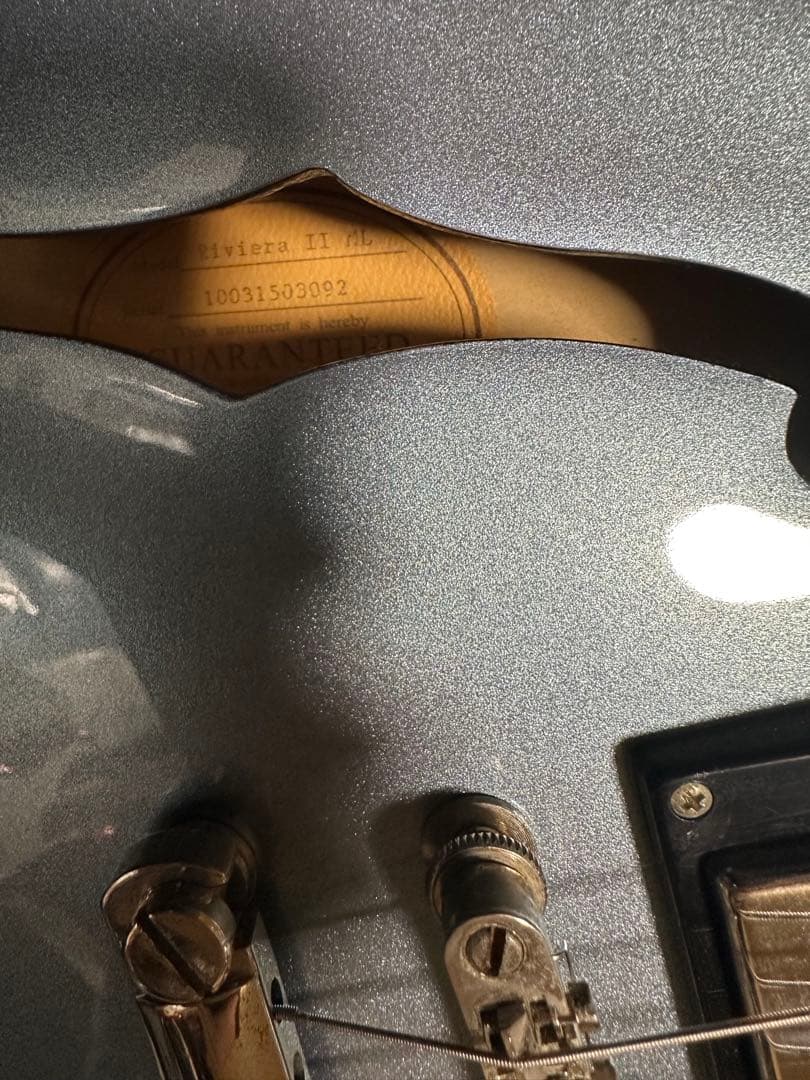 Epiphone Riviera Ⅱ Noel Gallagher エピフォン