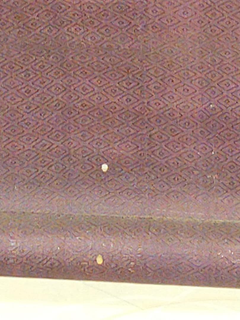 ♥掛軸　横山清暉　人物　掛け軸　骨董品