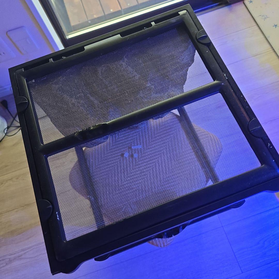 抹茶ラテエキゾテラ3030グラステラリウムメッシュフタ保温球付きほぼ