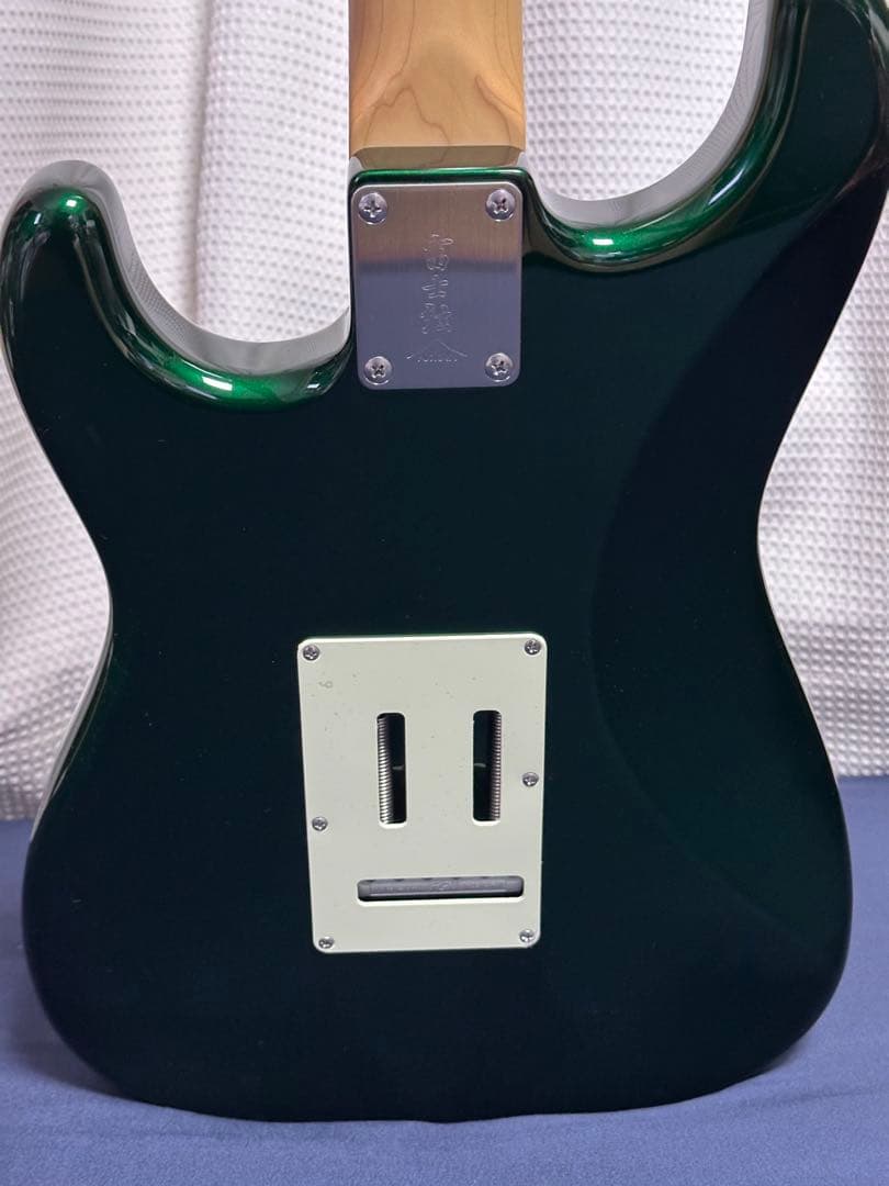 Fujigen フジゲン NST11 RAL-CAG