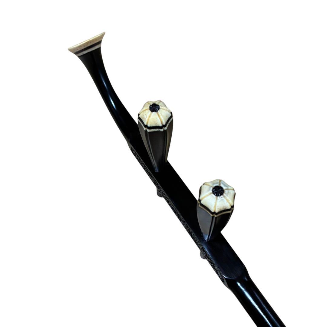 美品✨ ゼンオン 二胡 ZN-800H 本体 弓 ハードケース付 中国楽器