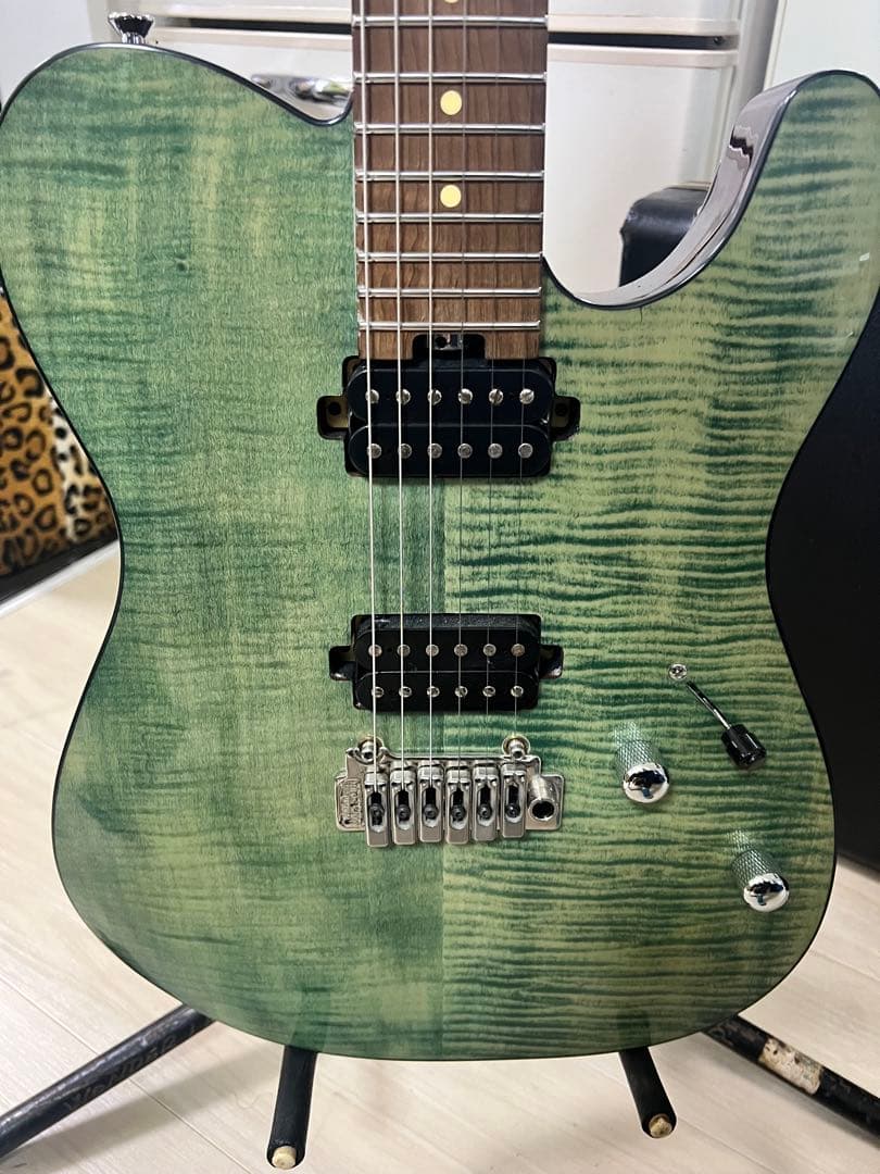 Bacchus tactics24 テレキャス　エレキギター