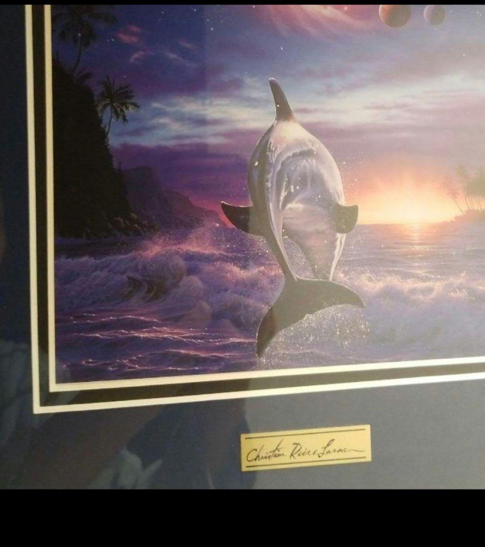 ラッセンイルカです