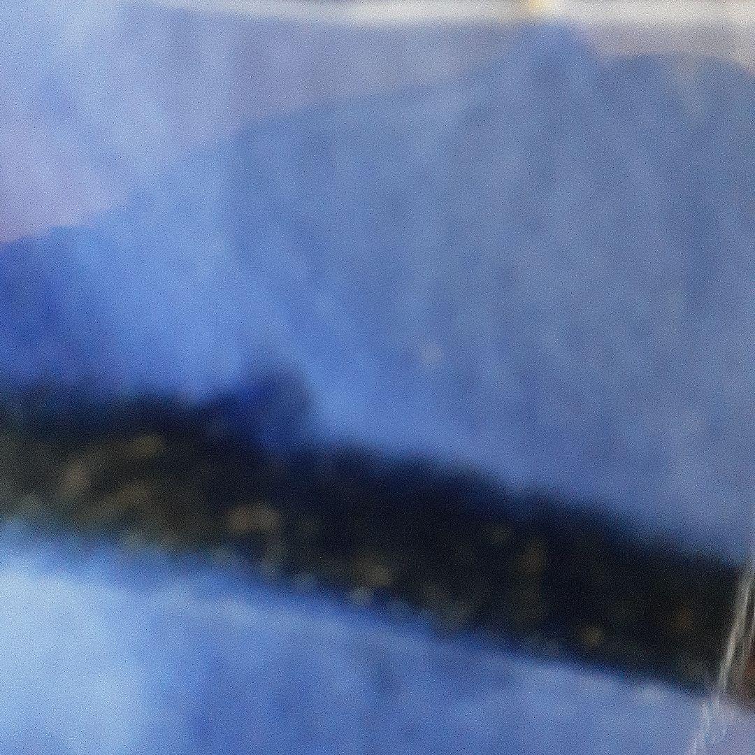 古伊万里染付け牡丹垣根文様中皿