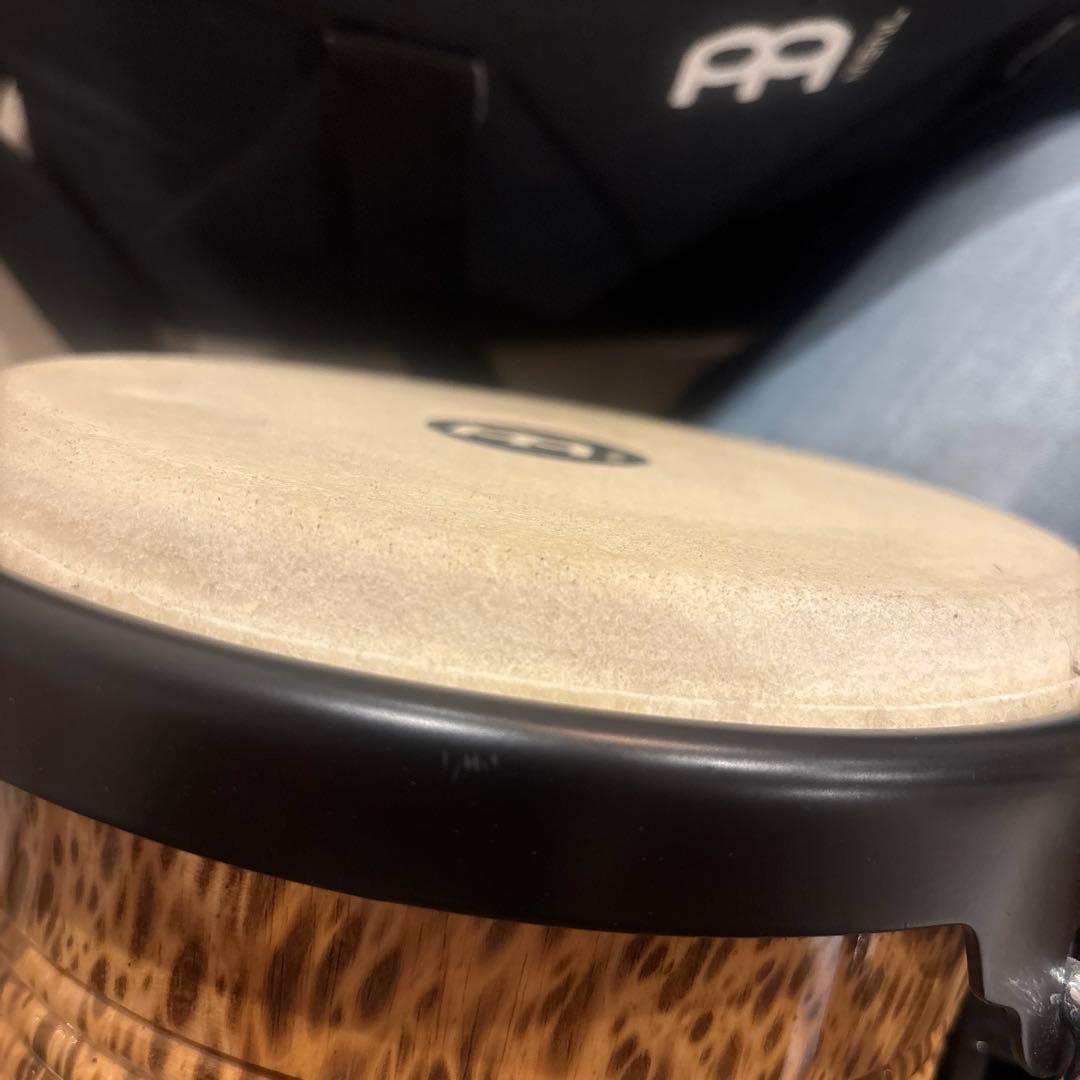 MEINL マイネル　ウッドボンゴ 豹柄　　ケース+ボンゴヘッド2種セット