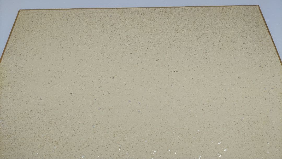 機動戦士ガンダム めぐりあい宇宙 安彦良和 色紙 イラスト サイン