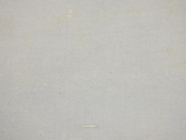 酒井抱一　図柄不明　箱なし　M1001