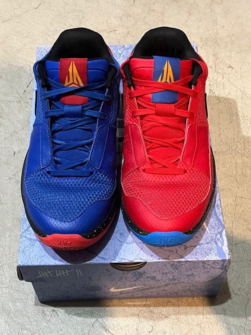 シューズ(男性用) Nike JA1 EP HANGER 25.5cm