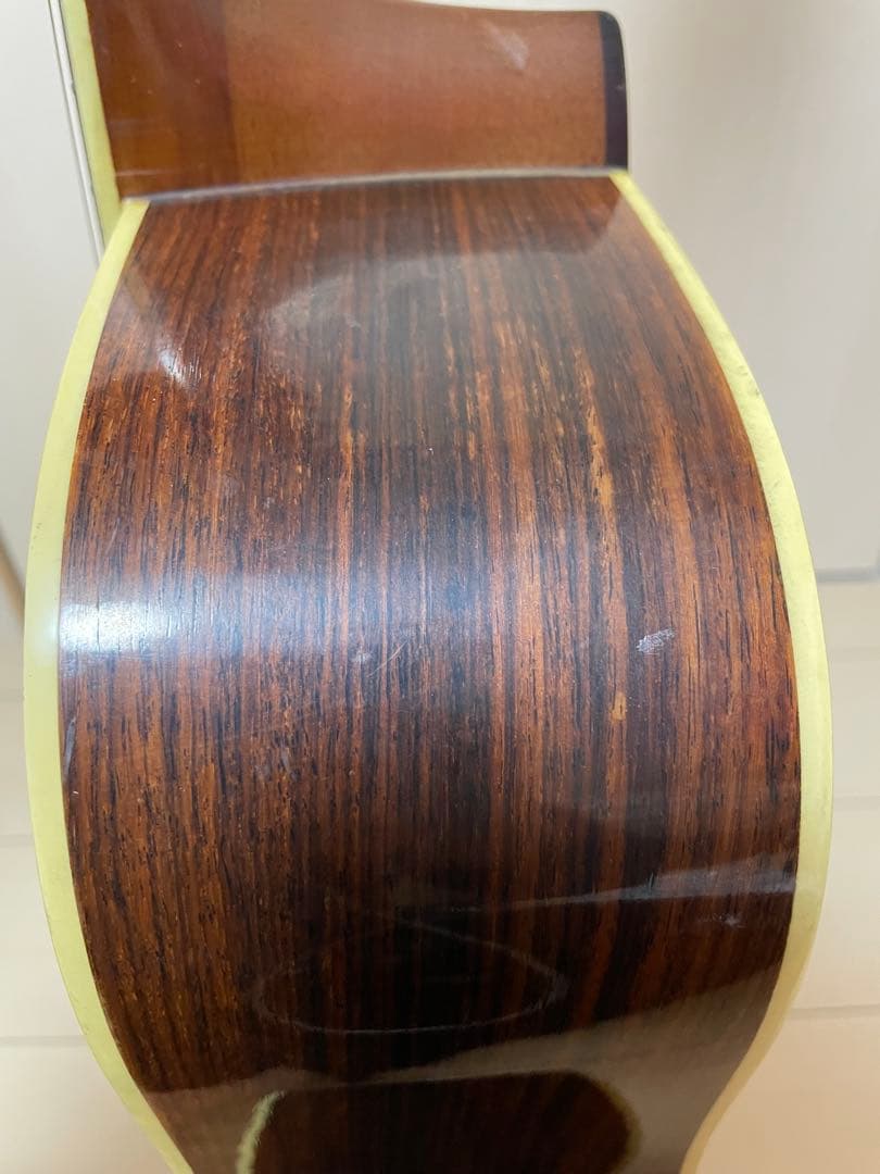 Aria アコースティックギター W-300