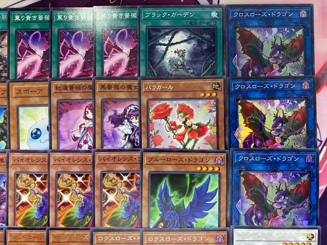 遊戯王　ローズ・ドラゴン　本格構築済みデッキ