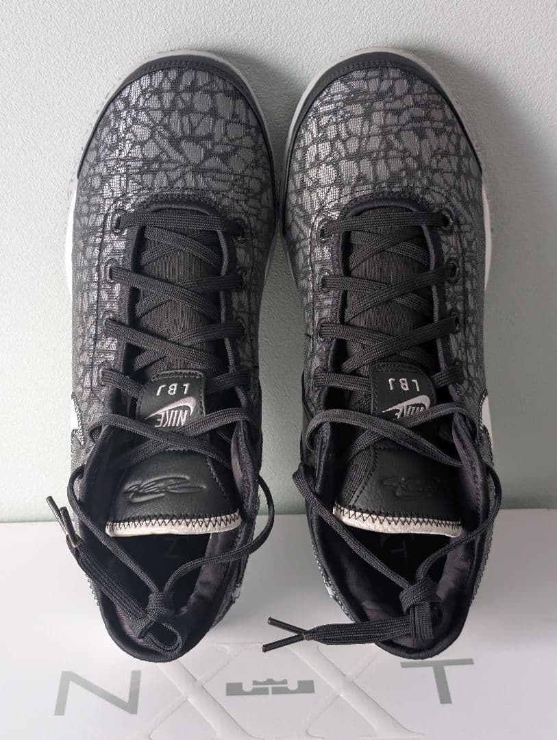 シューズ(男性用) Nike Lebron NXXT GEN 30cm