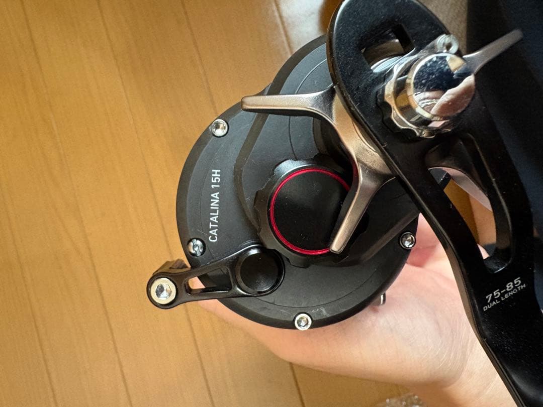Daiwa CATALINA 15H ベイトリール